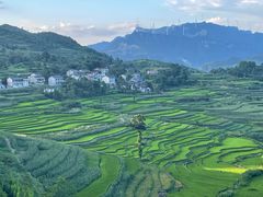 -重庆睡佛山森林公园