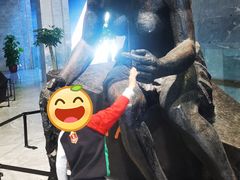 -北京周口店北京人遗址博物馆