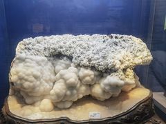 -贵州省地质博物馆