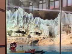 -帝企鹅自助餐厅•儿童岛•真企鹅(长隆企鹅酒店)