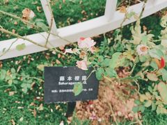 -立新湖公园