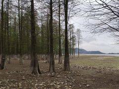 -四明湖