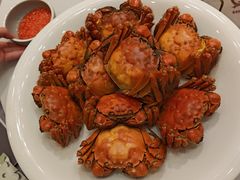 -YAFEE雅菲·粤菜·湘菜·融合菜(魏公村店)