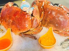 -Mr.Fish鱼鲜生海鲜放题(高德置地冬广场店)