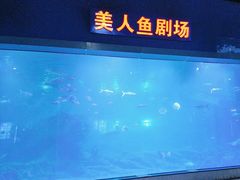 -福州罗源湾海洋世界旅游区