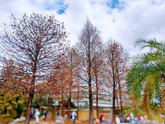 -中国科学院华南植物园