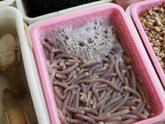 -南沙十九涌渔人码头-南门