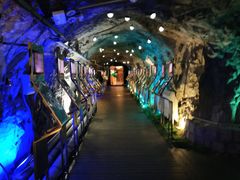 -青岛葡萄酒博物馆