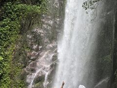 -莫里热带雨林景区