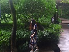 -杭州半山国家森林公园