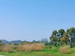 -良渚文化村