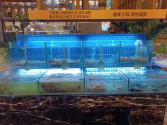 -芭菲盛宴·环球美食(袁家岗店)