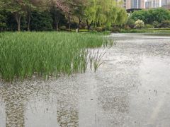 -木塔寺遗址生态公园