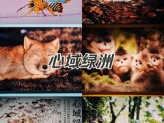 -中国湿地博物馆