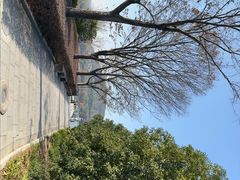 -长广溪湿地公园