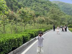 -牛背梁国家森林公园