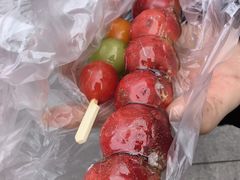 -紫金港餐饮中心-风味餐厅(浙江大学紫金港校区店)