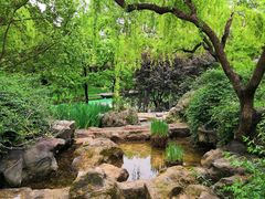 -复旦大学附属华山医院(总院)