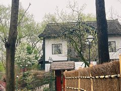 -西溪国家湿地公园