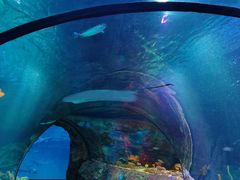 -沈阳海洋探索中心