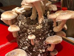 -马路边边串串香(双井直营店)