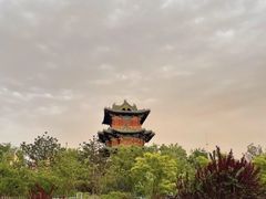-迎泽公园