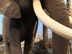 -陕西自然博物馆