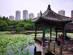 -龙头寺公园