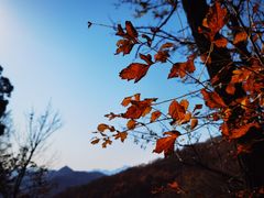 -定都阁