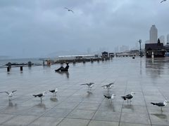 -星海广场