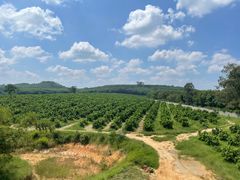 -侯臣咖啡文化村