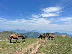 -灵山