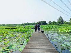 -梁鸿国家湿地公园