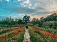 -白鹭湾湿地公园