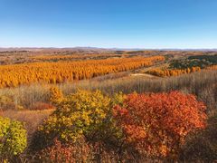 -塞罕坝国家级自然保护区