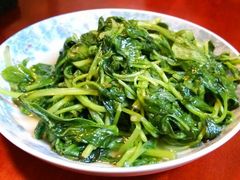 android_upload_pic-19号私房菜(云南路店)