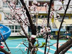 -爱彼格林珑悦幼儿园