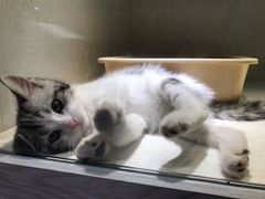 -乐宠宠物店(世纪金源店)