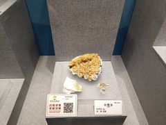 -贵州省地质博物馆
