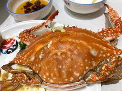 梭子蟹-北塘海鲜·天津菜(大光明桥旗舰店)