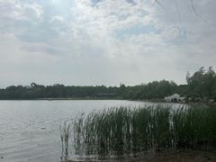 -长春市南湖公园