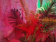 -水晶之星洗浴温泉汗蒸