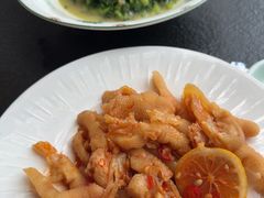 -五马集·海鲜·温州大牌档(黑金冠五马街十字路口店)