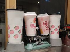 -伏小桃(明瓦廊店)
