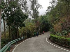 -清溪森林公园