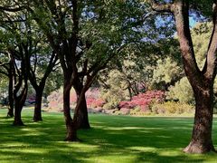 -西郊宾馆·1921餐厅