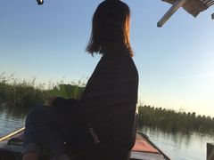 -白洋淀景区