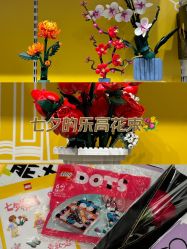 -乐高授权专卖店(济南万象城店)