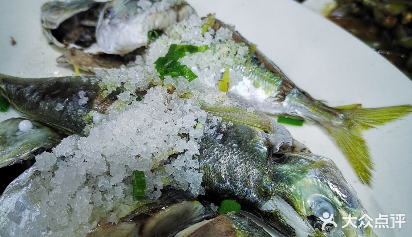 小树探店｜风动石景区附近海鲜排档，赢在新鲜