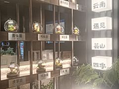 -芸山季·云南山珍菌火锅(人民广场来福士店)